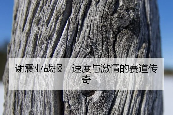 xie-zhen-ye-zhan-bao-su-du-yu-ji-qing-de-sai-dao-chuan-qi-2-528.jpg
